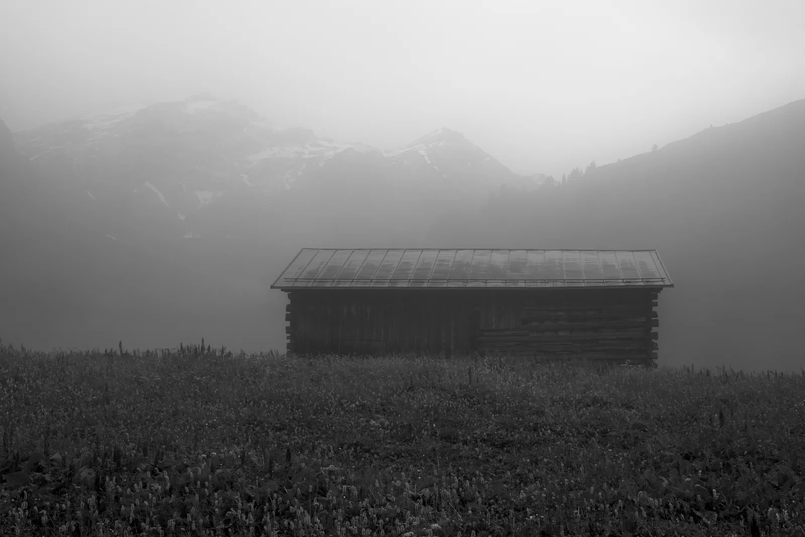 Alp Diesrut-3