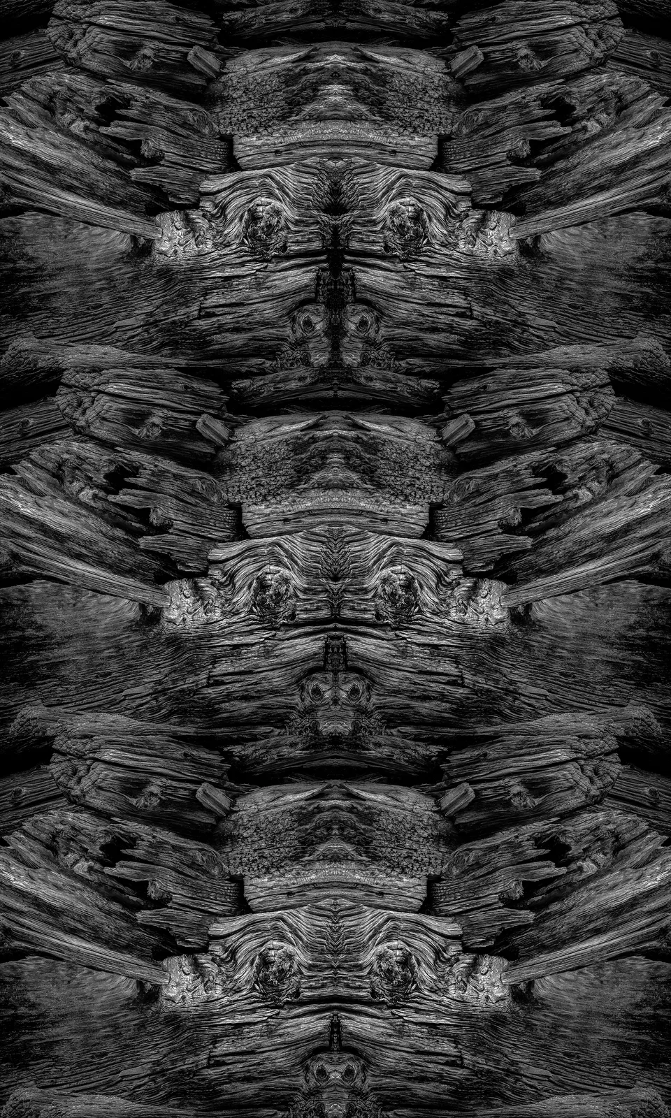 TOTEM#996_BLATTEN LÖTSCHENTAL