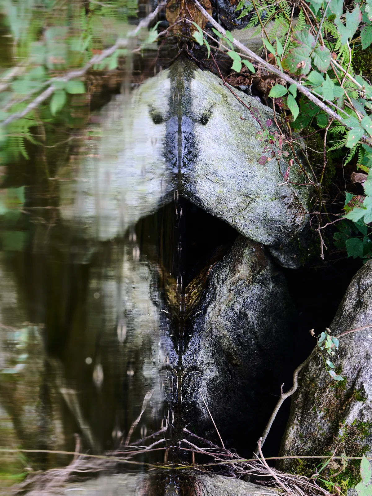 Das Grossmaul  (Gesichter aus dem Fluss  / Stoneface #8)