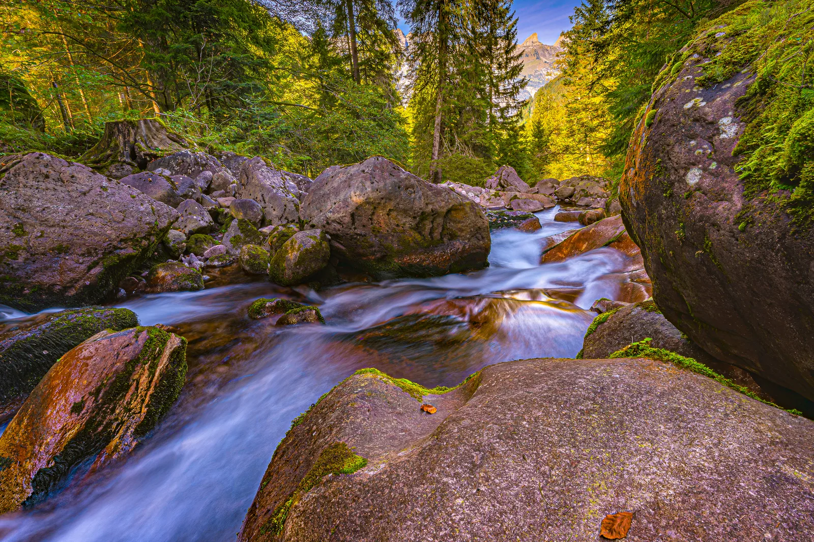 Zwischen Drei