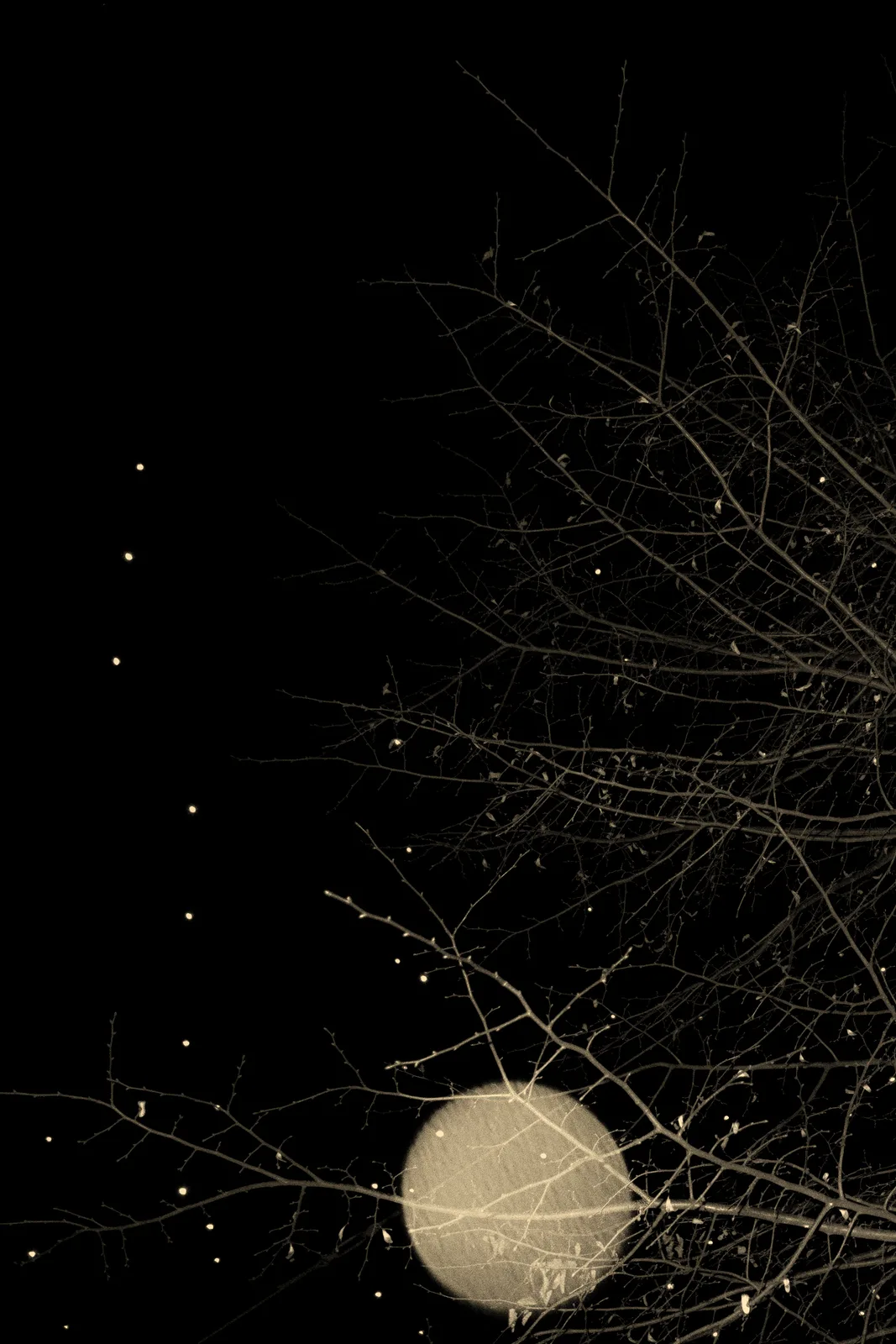 Mu #034, 2019