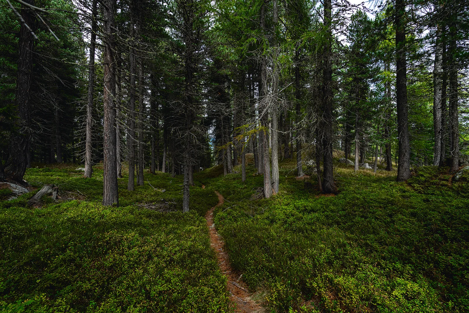 trailmatters 03