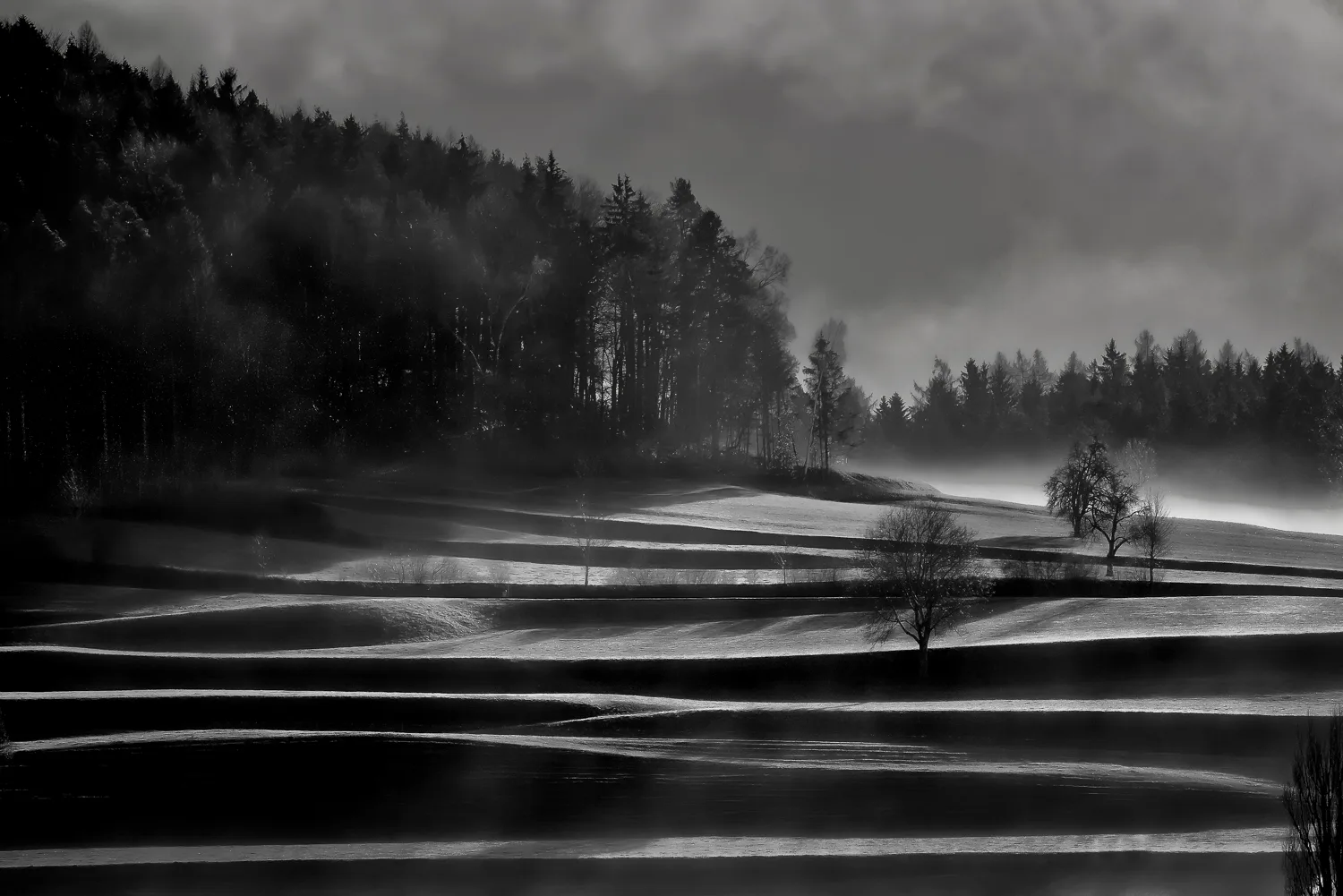 Wrinkles of Land