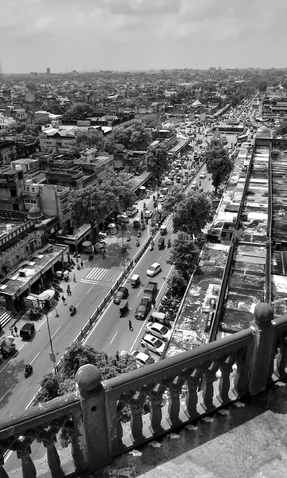 BIRD'S-EYE