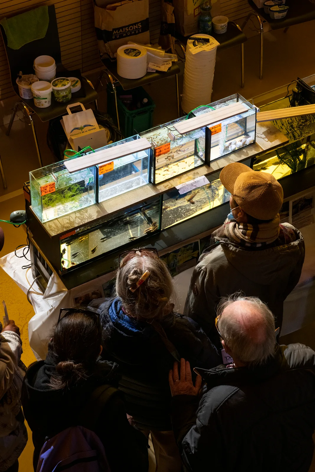 Fish market in Switzerland