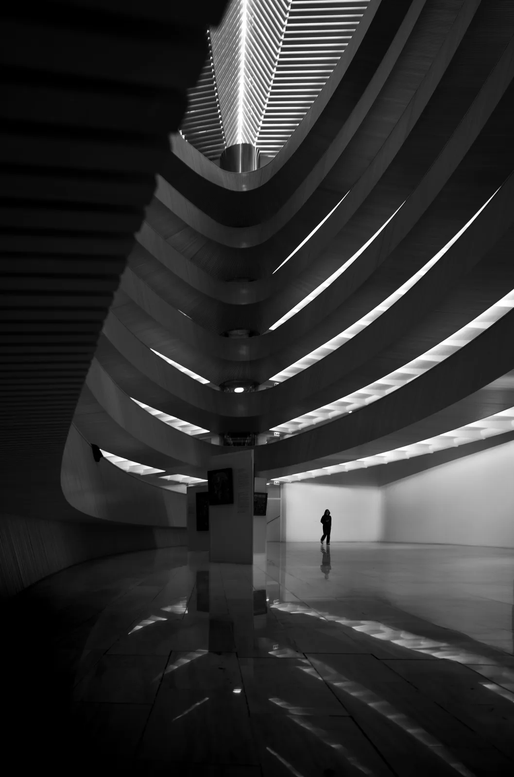 Lines and shadows