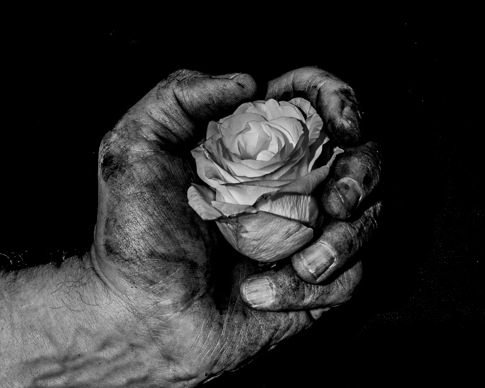 The delicate and the rough