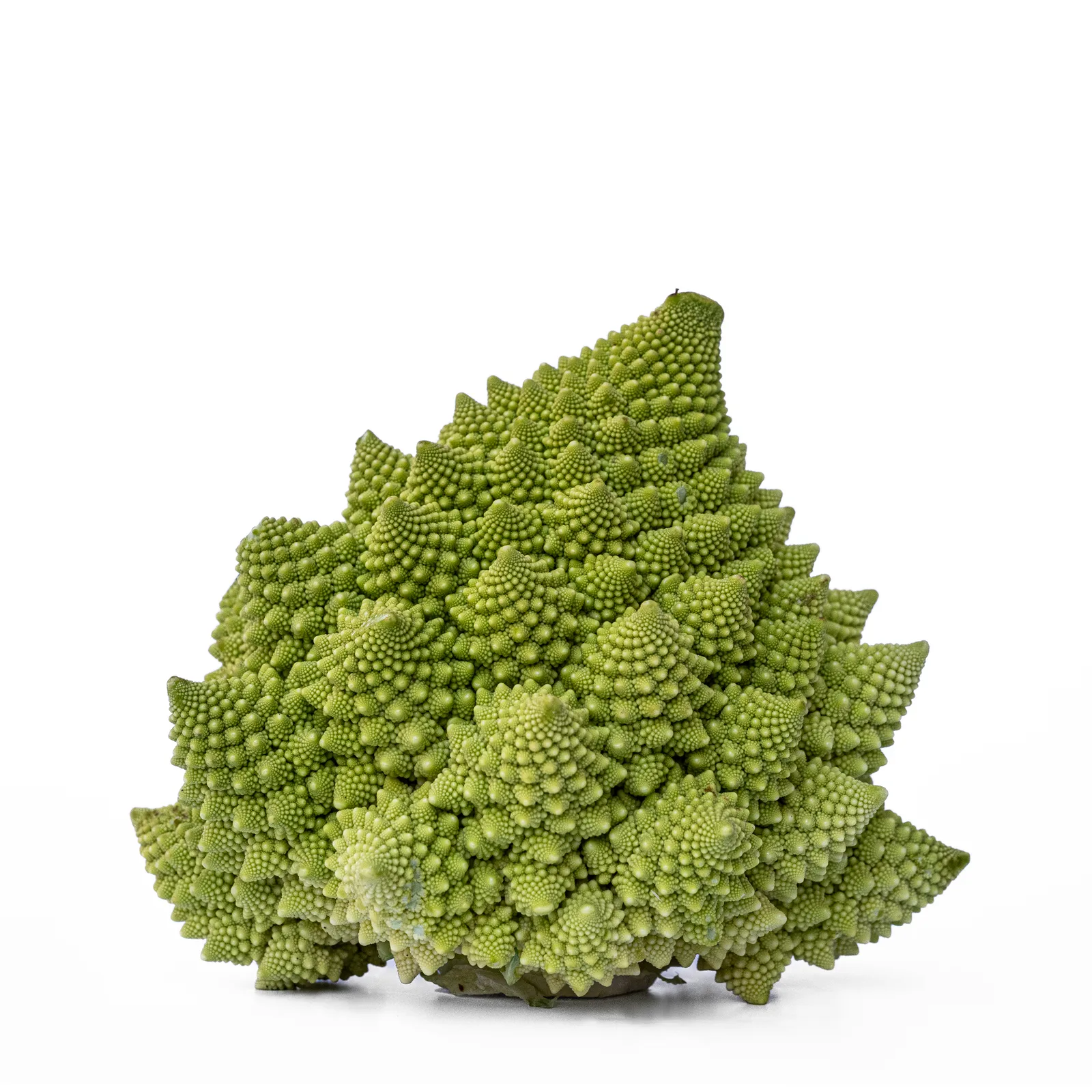 Romanescu aus der Serie "Grünes Gemüse"