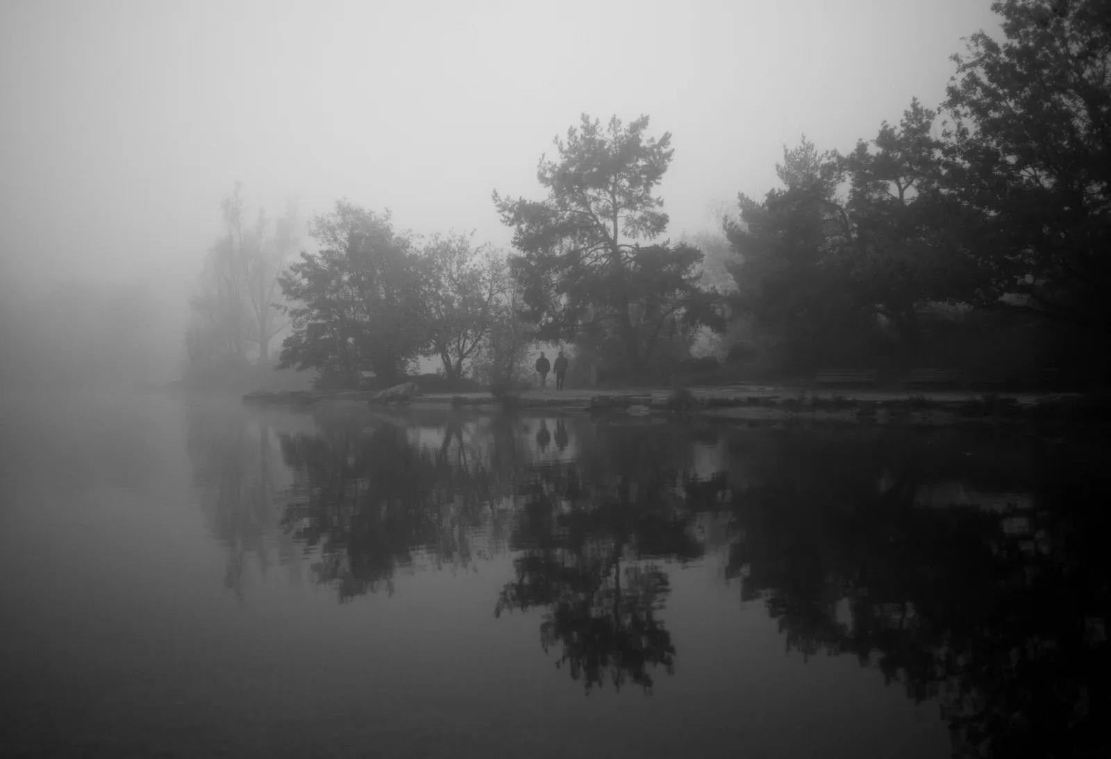 Misty morning