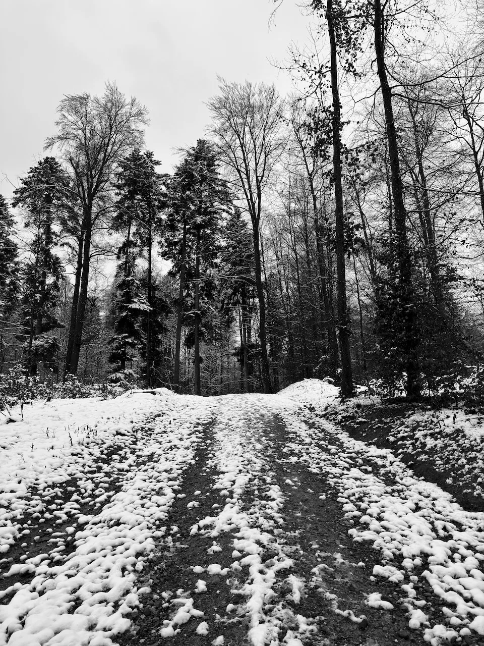 "Pfad der Stille"