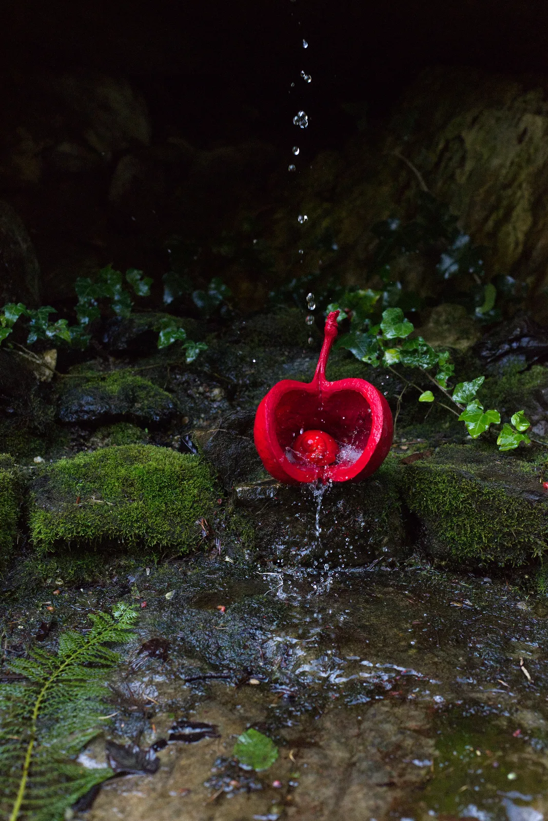 a love letter (5)