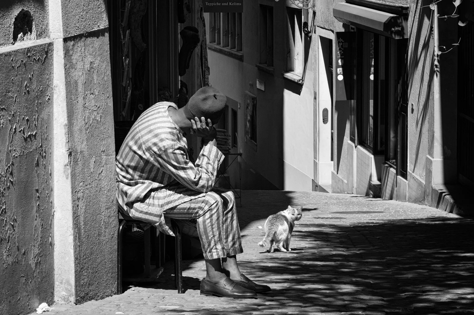 The Cat