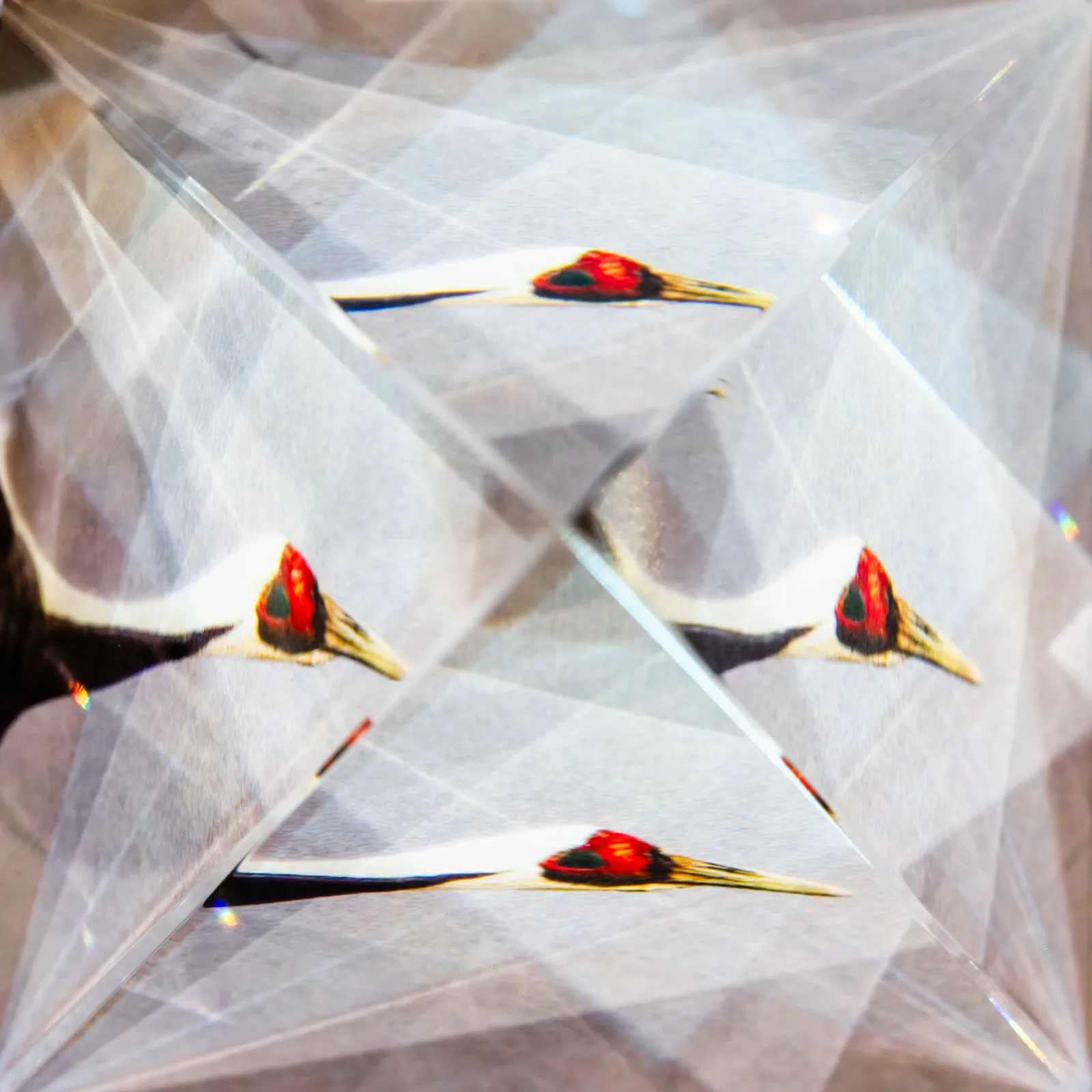 Perception Constructed