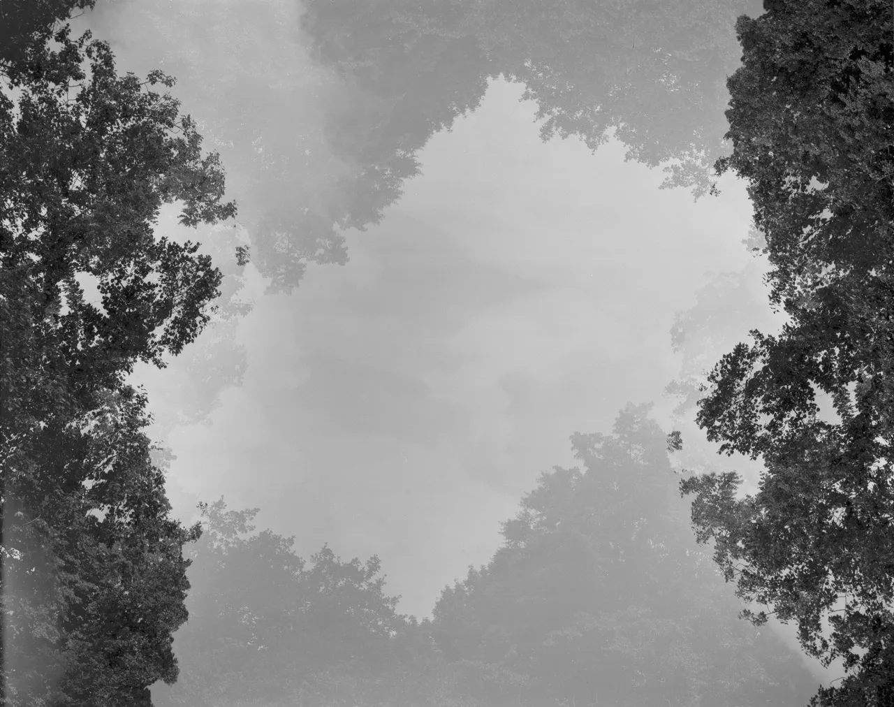 Utopian World