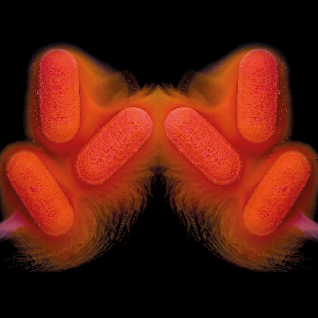 Pills in Water (No. 5)