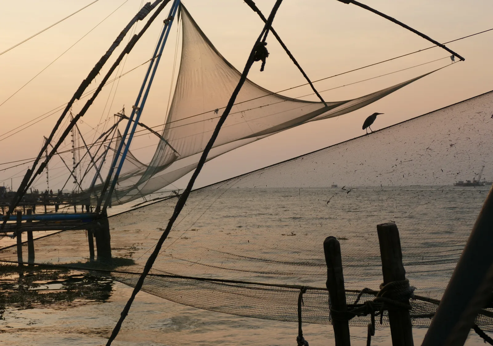 Fishing nets