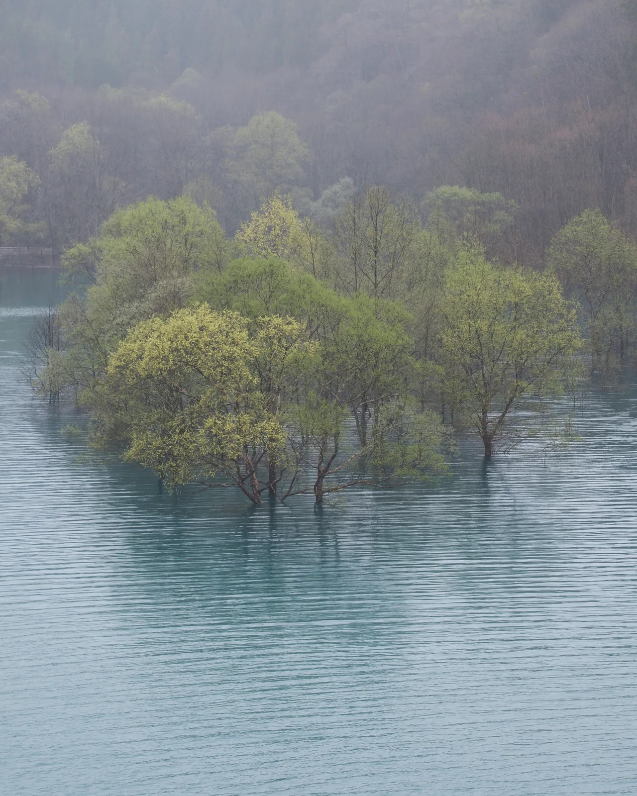 Aspect of Stillness 3
