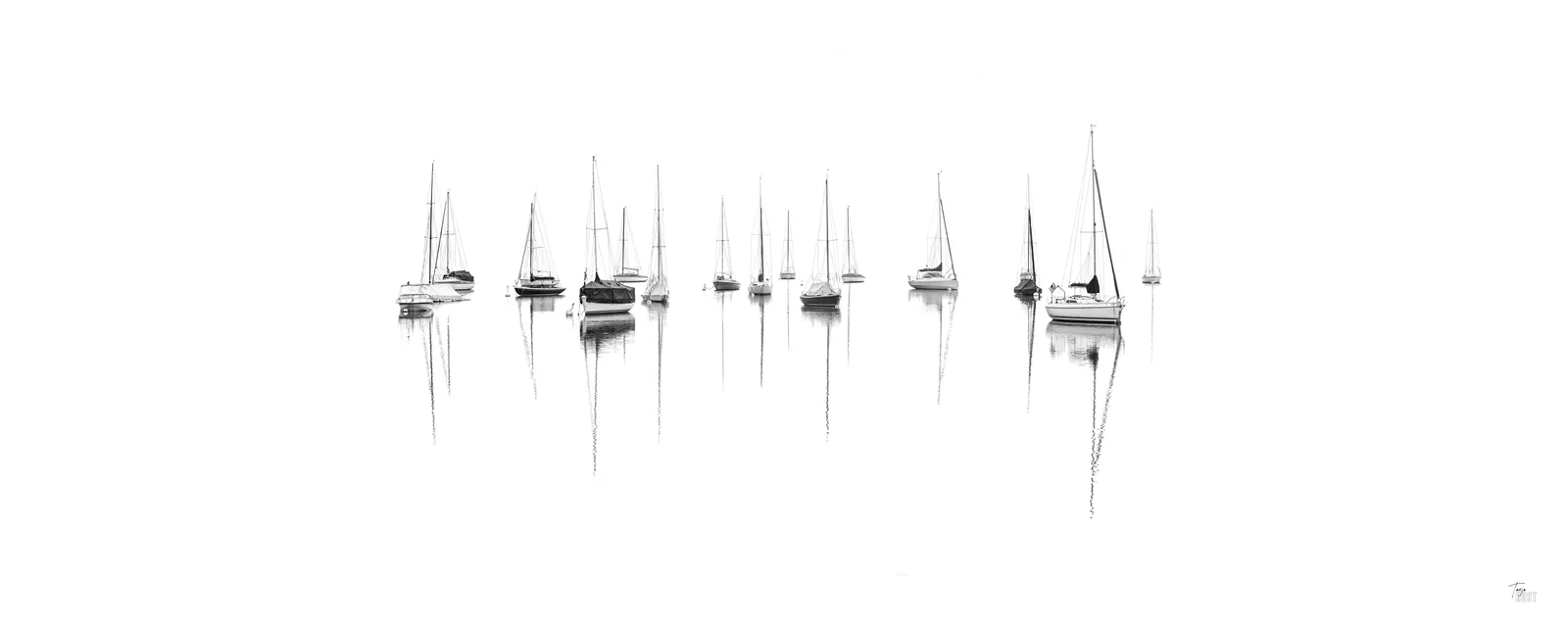 White Line VI