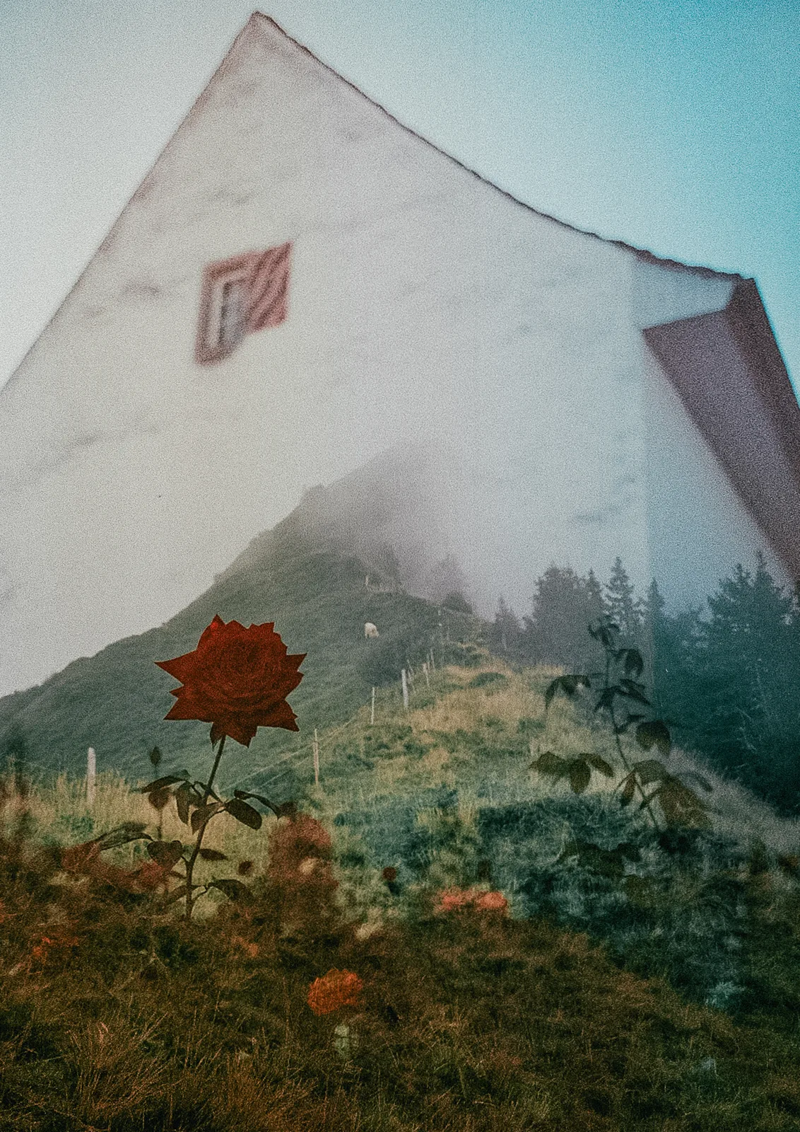 Nature Reclaims