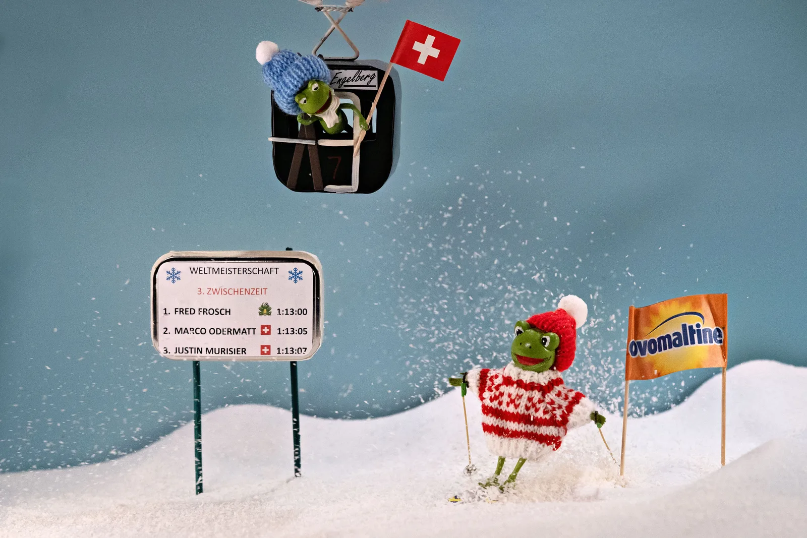 SKI RACE
