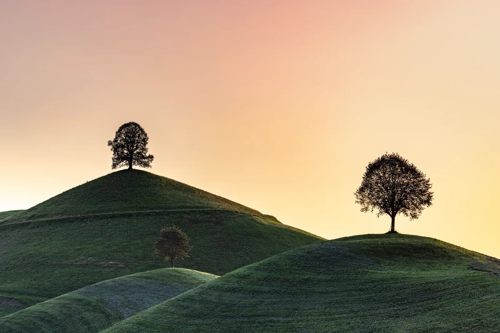 Drumlins