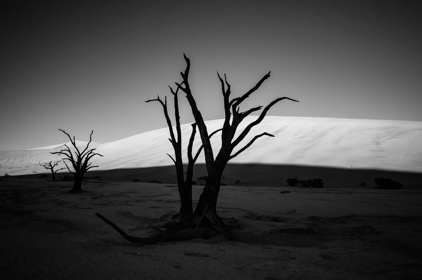 Dead Vlei, Namibia