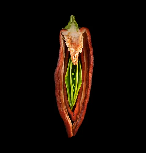 Vagina Dentata 2023
