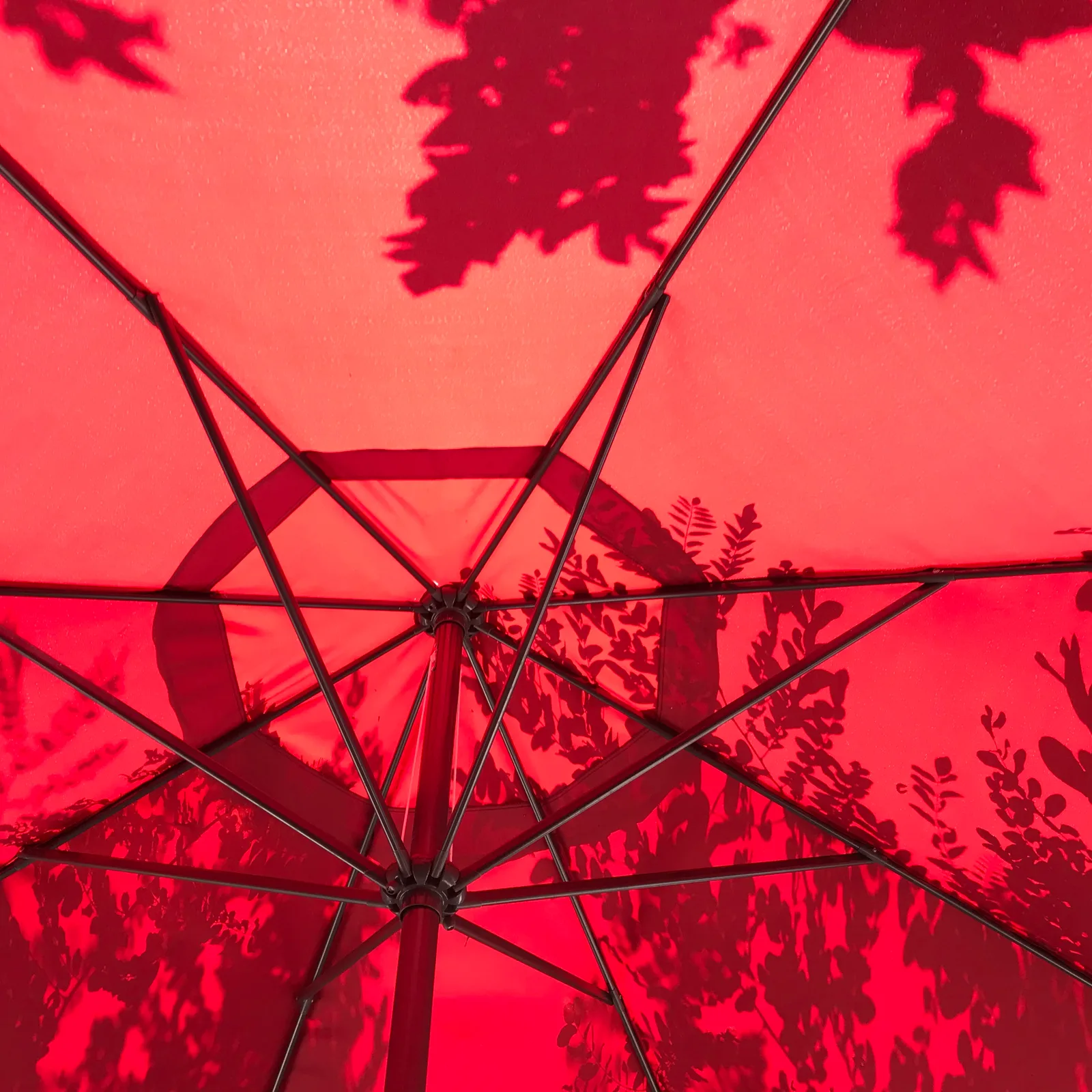 RED II