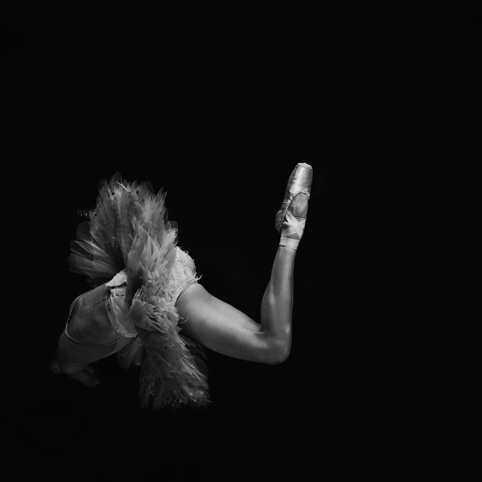 Untitled 4