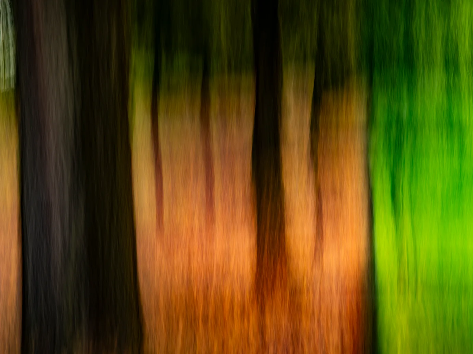 Feuer frisst