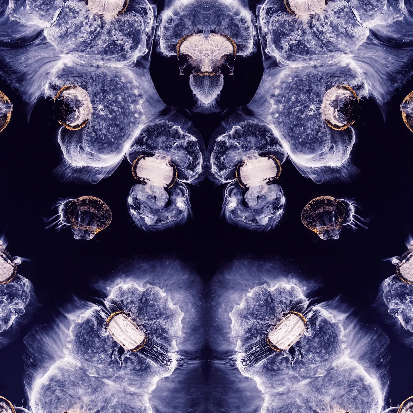 Pills in Water (No. 2)
