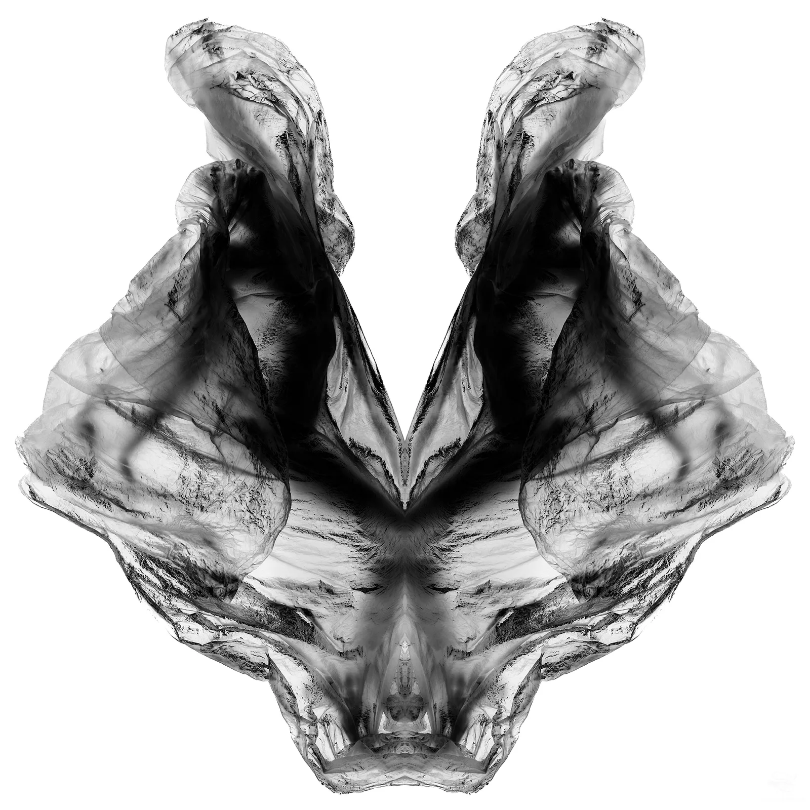 Inverted 1