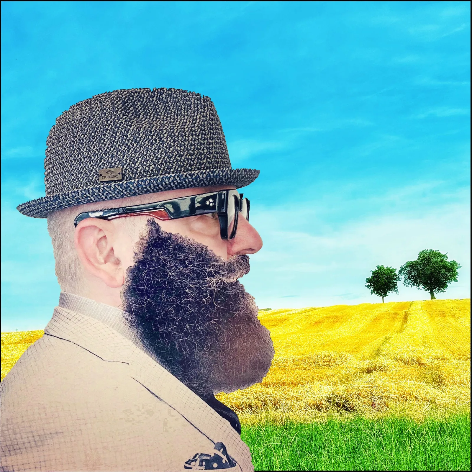 Wayfarer