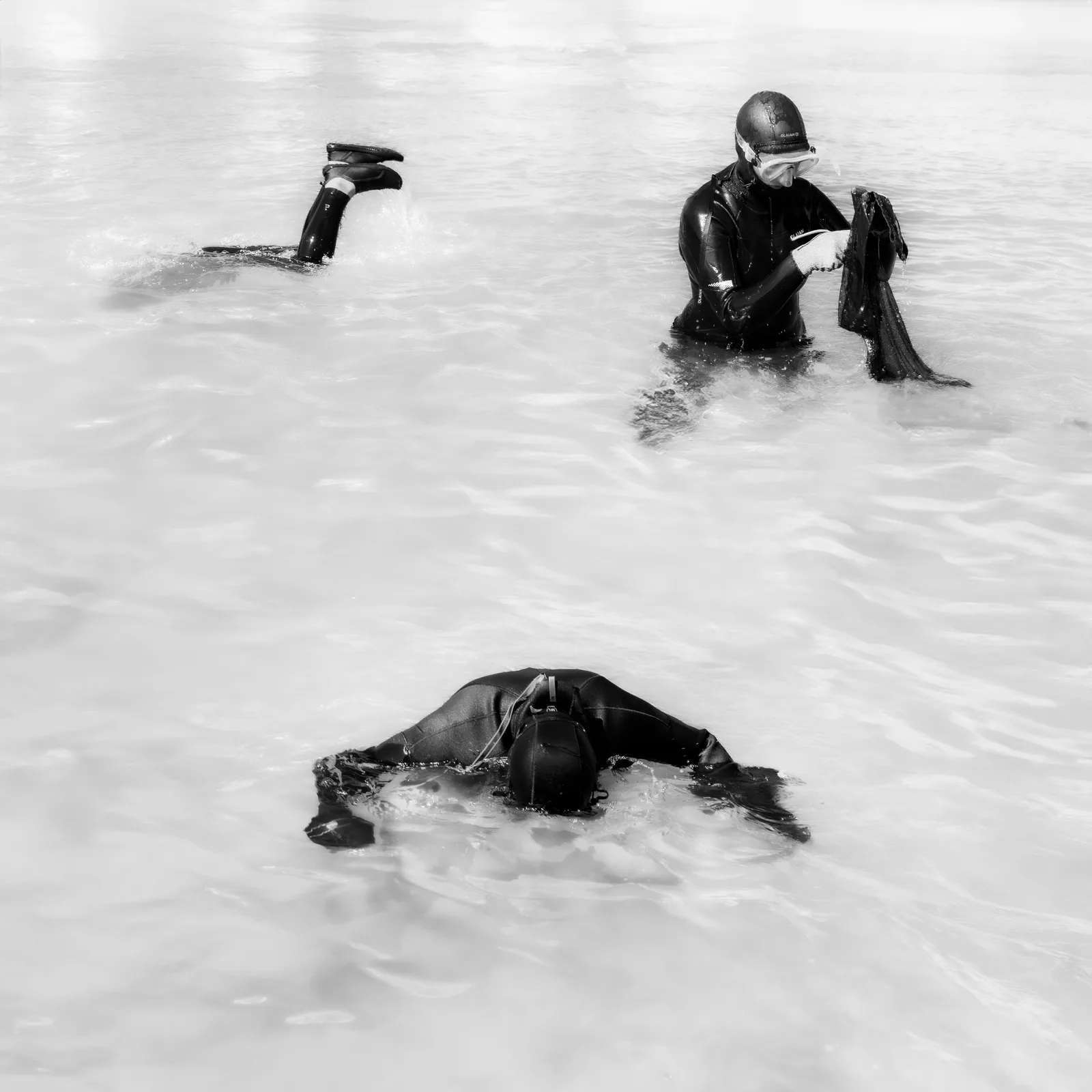 Busy divers.