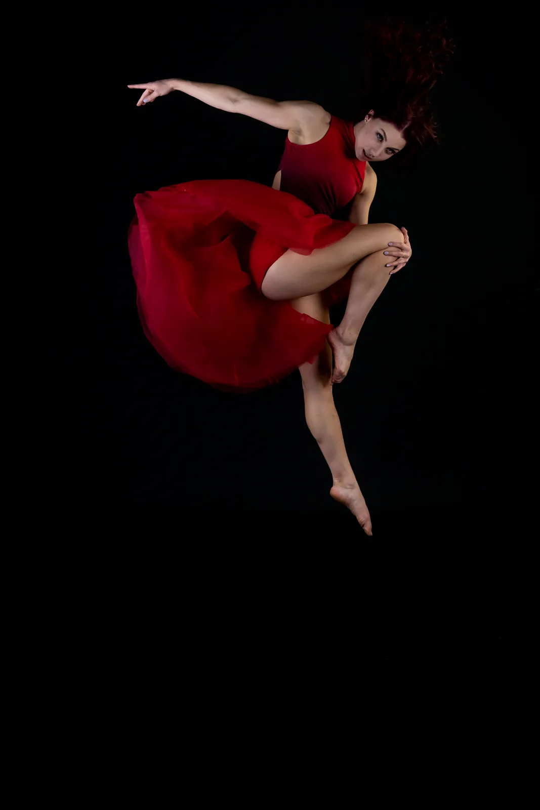 Red Butterfly 1