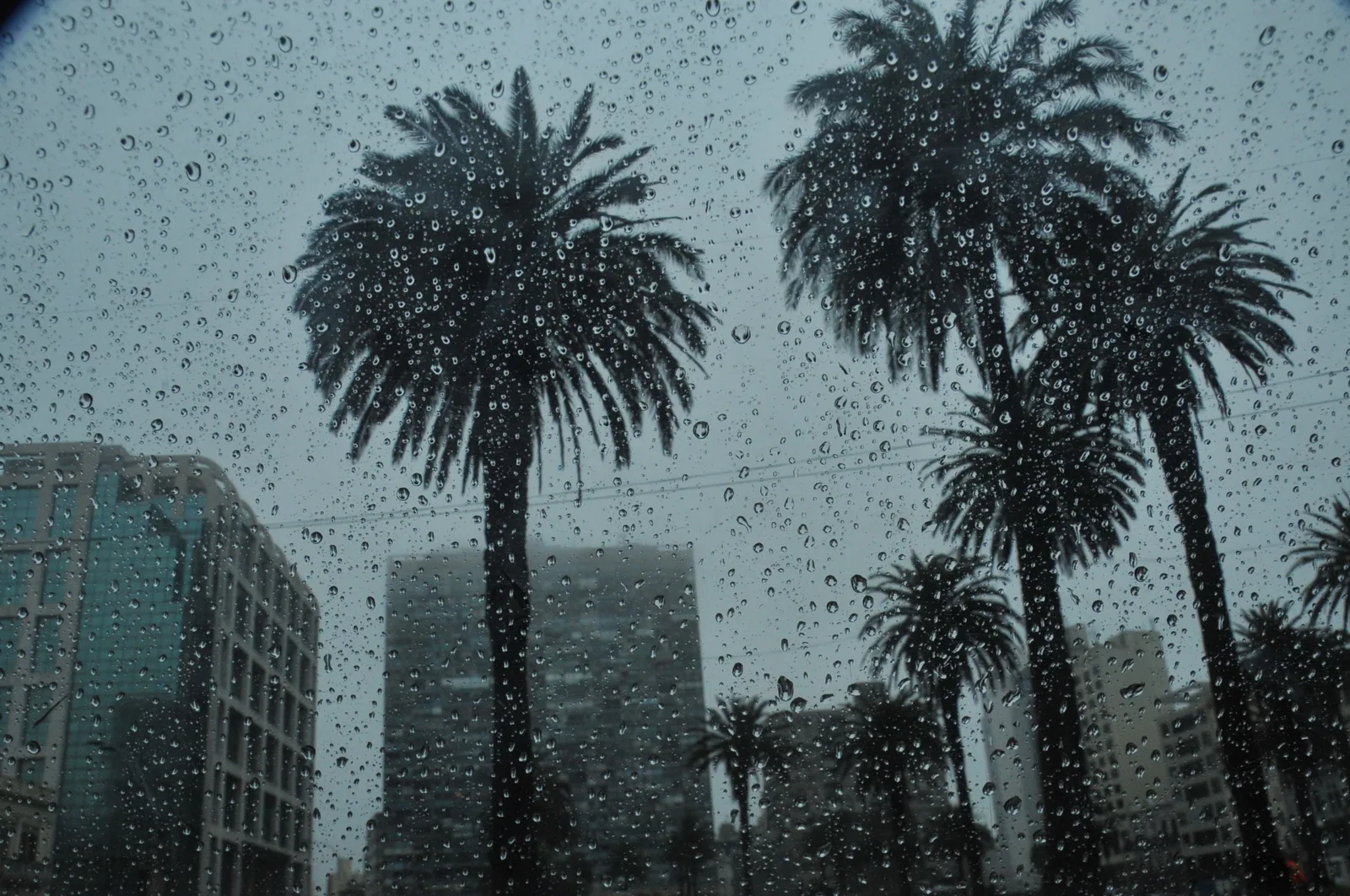 Tropical Darkness
