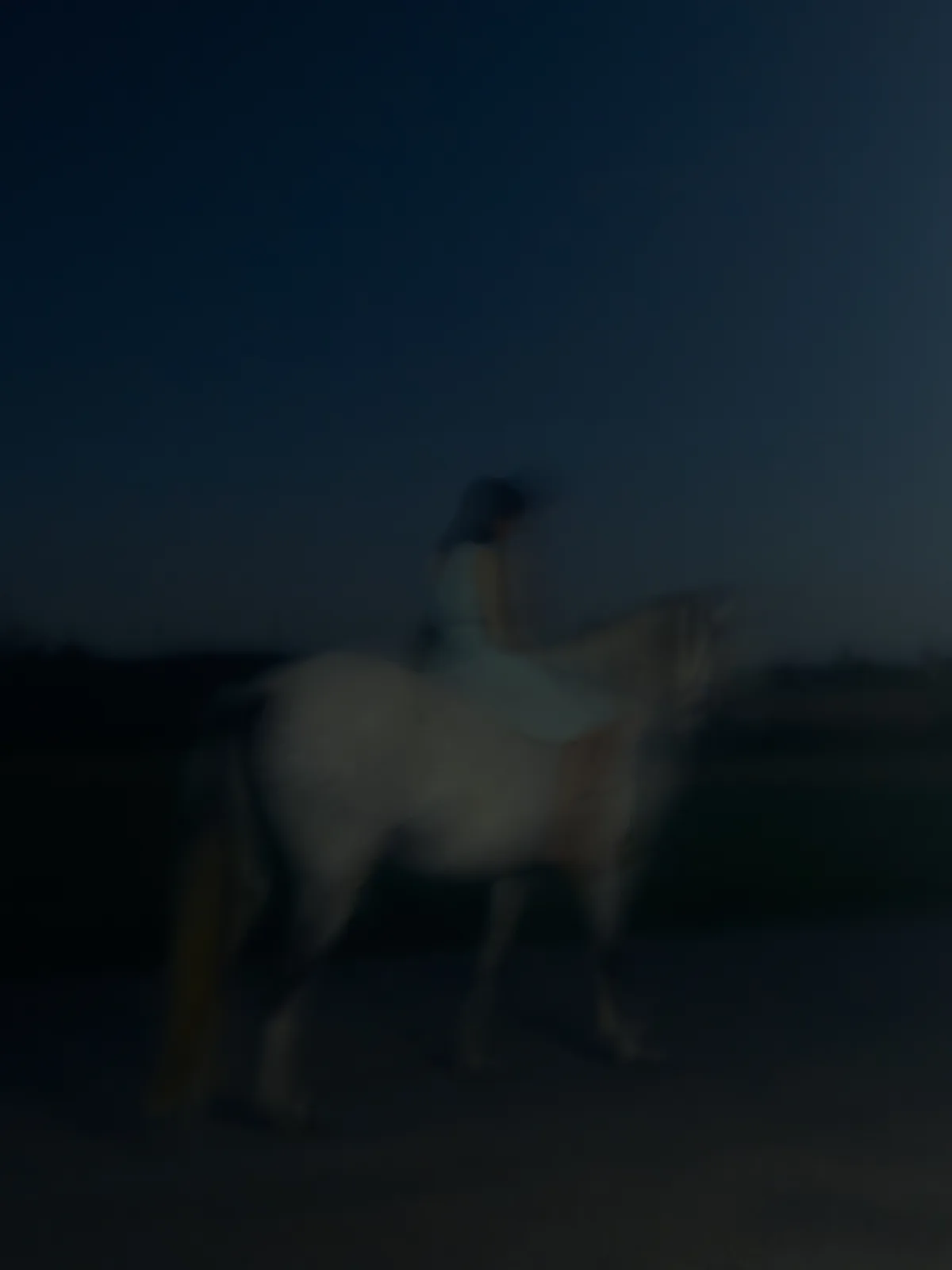 Into the moonrise