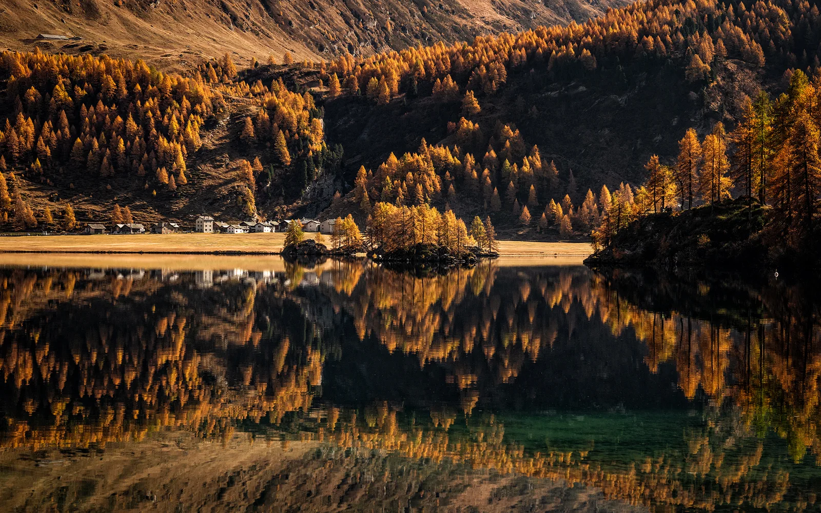 Isola