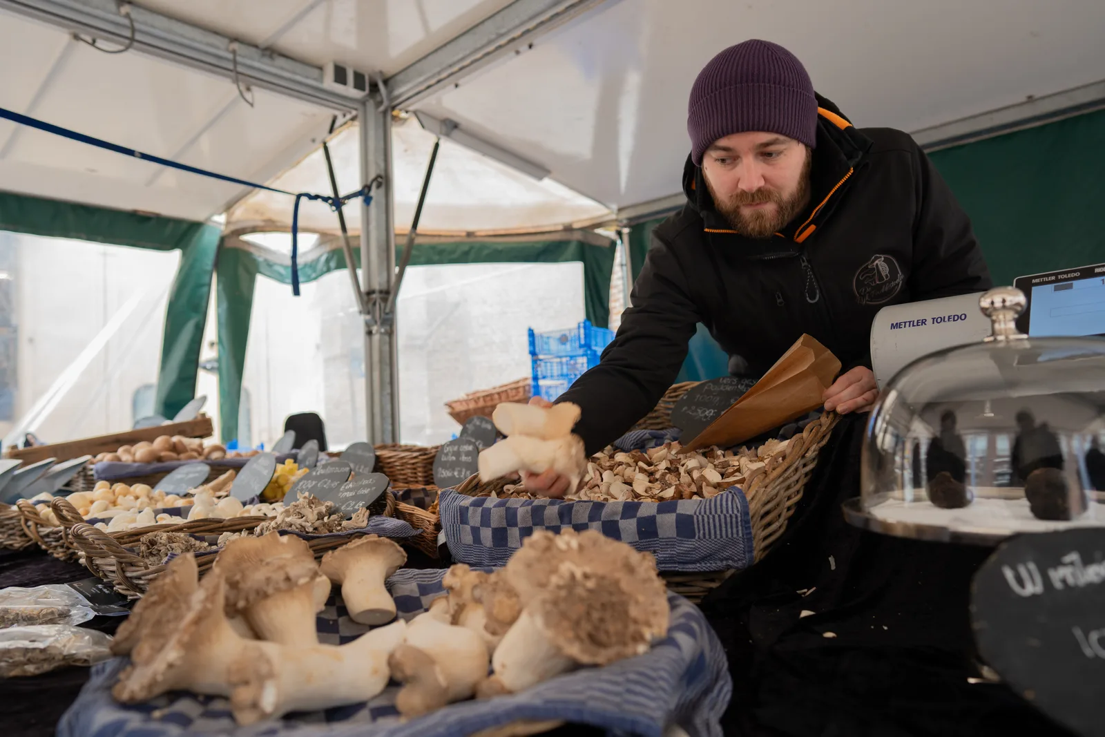 Mushroom stall at Wageningen market