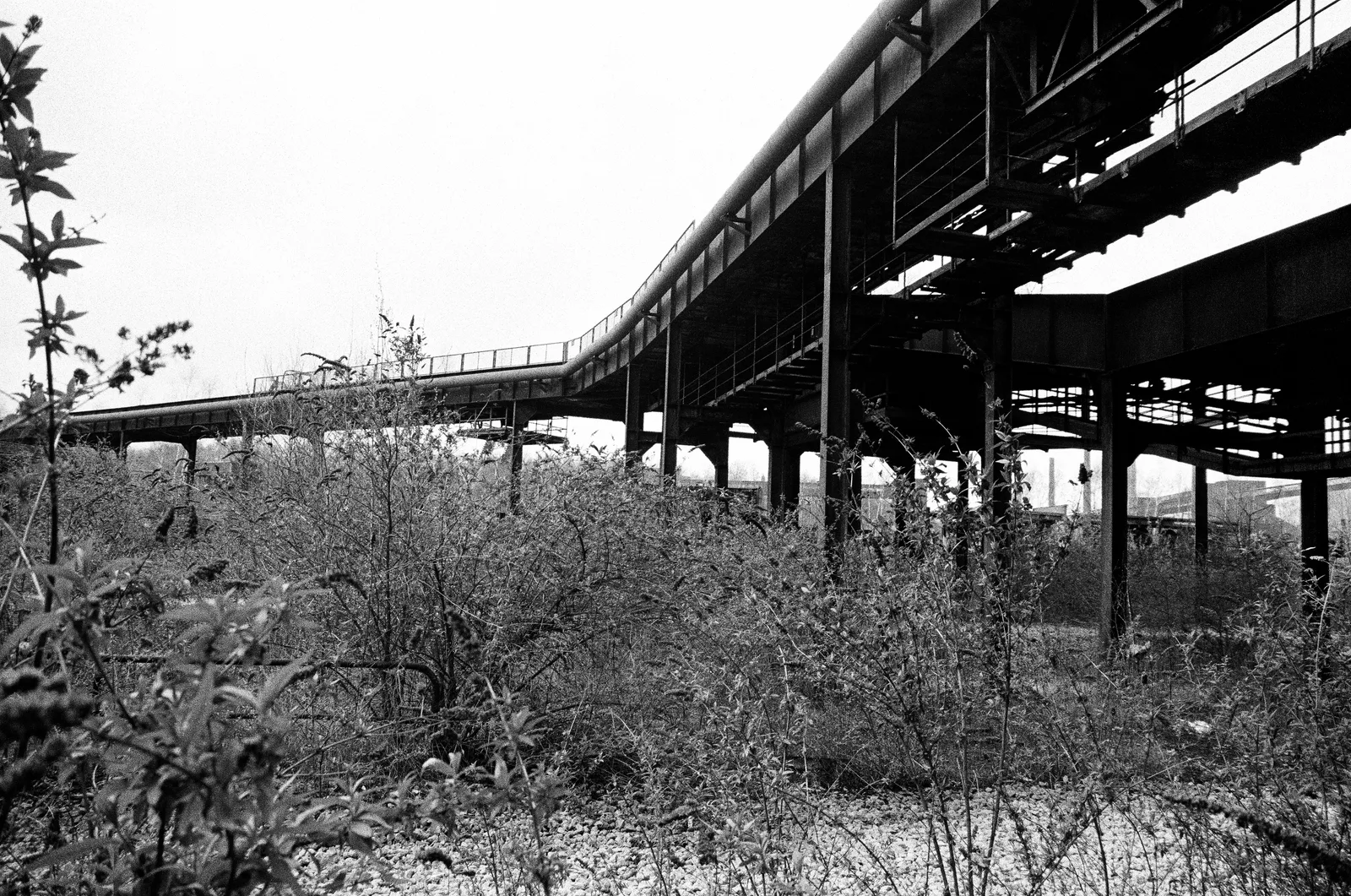 Zollverein Schacht XII / 30637