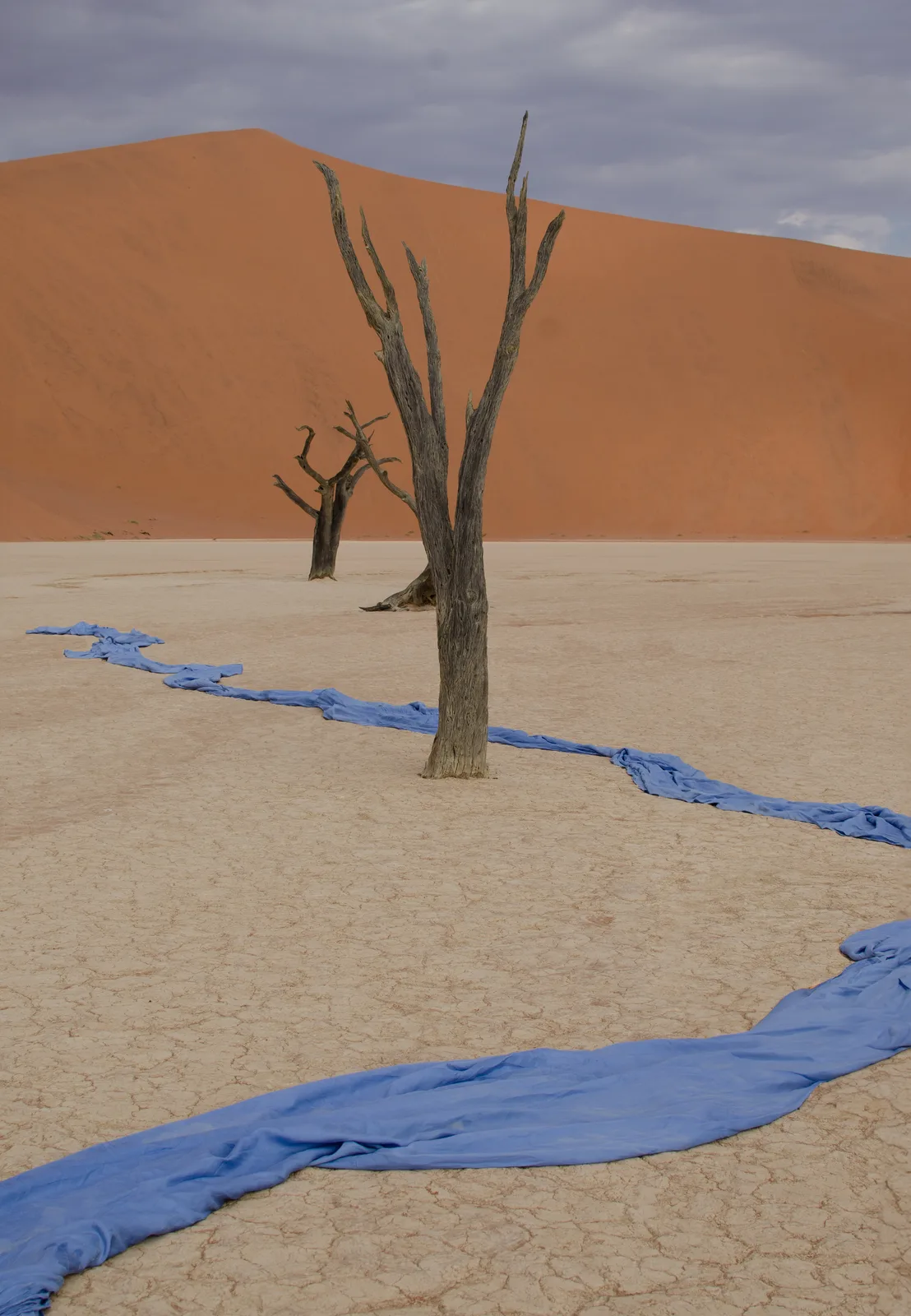 Oasis