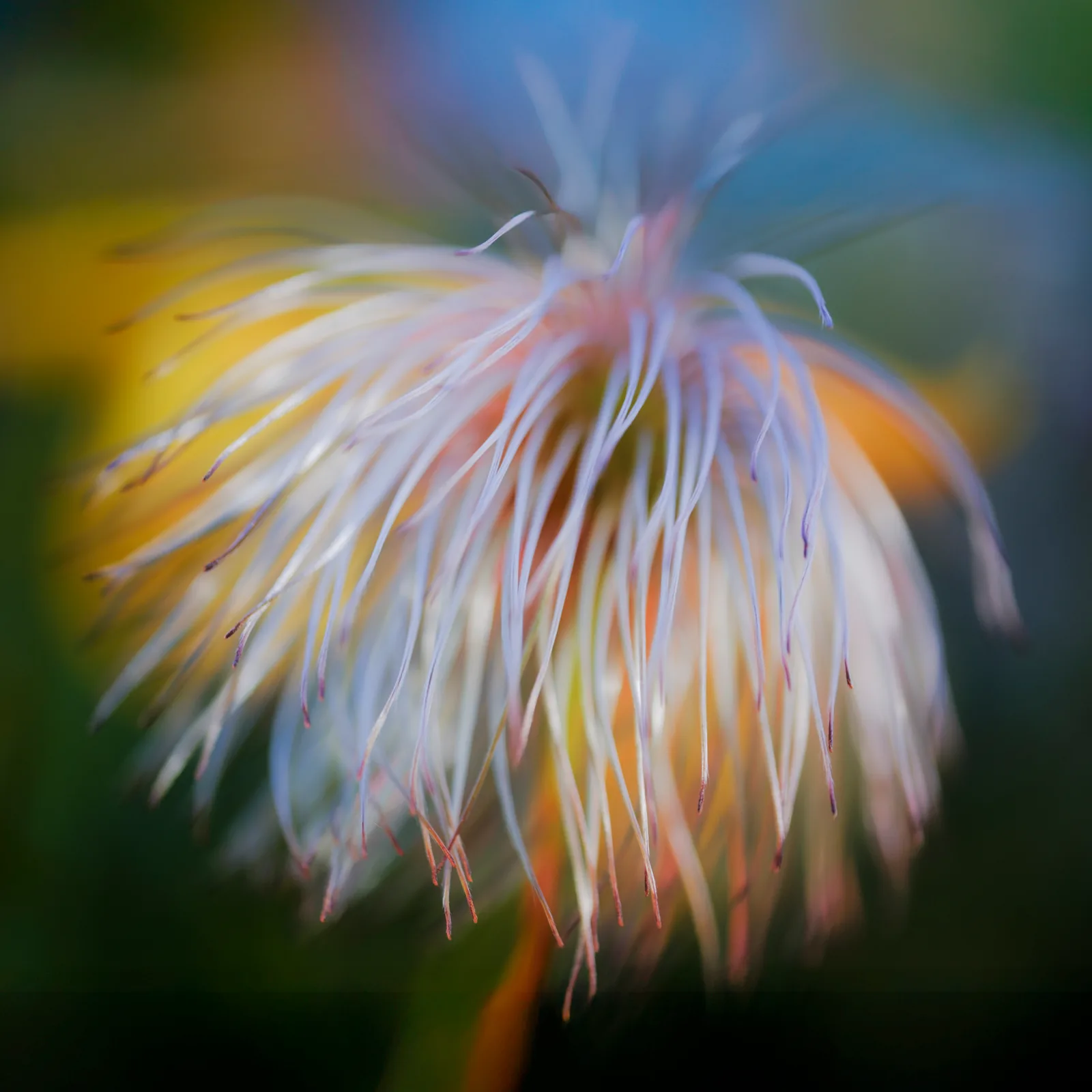 Threads of Light