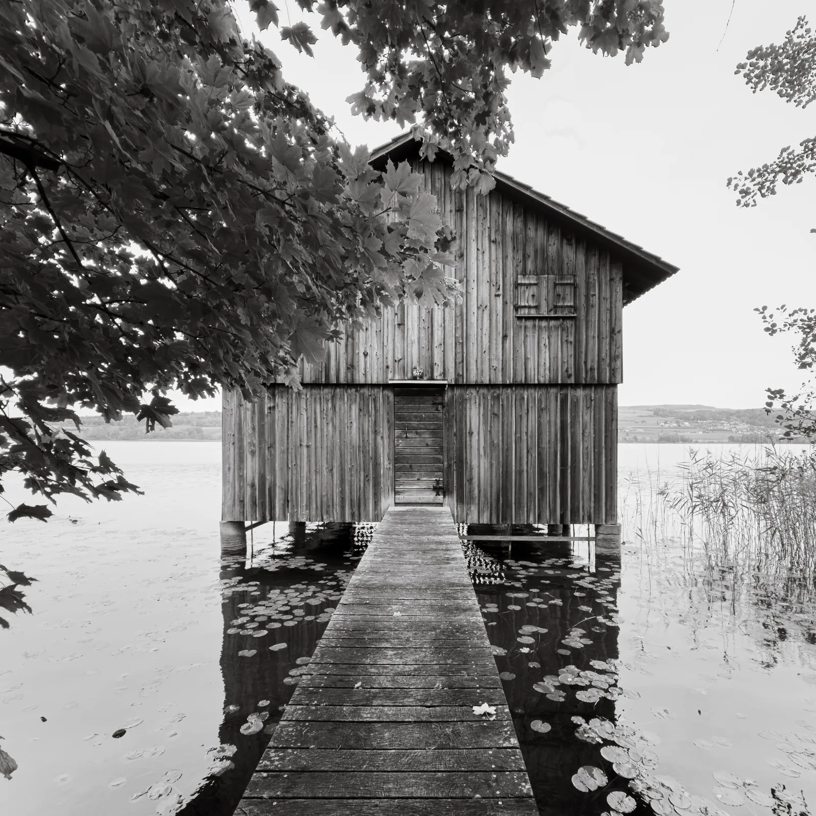 Bootshaus 2 auf Stelzen - Hallwilersee