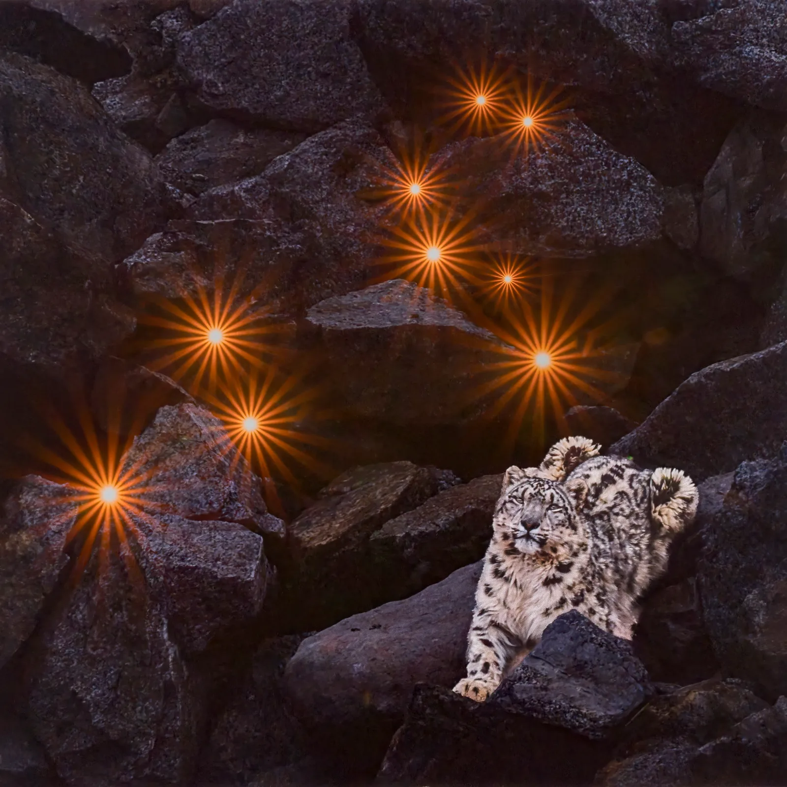 Under Leo’s Protection