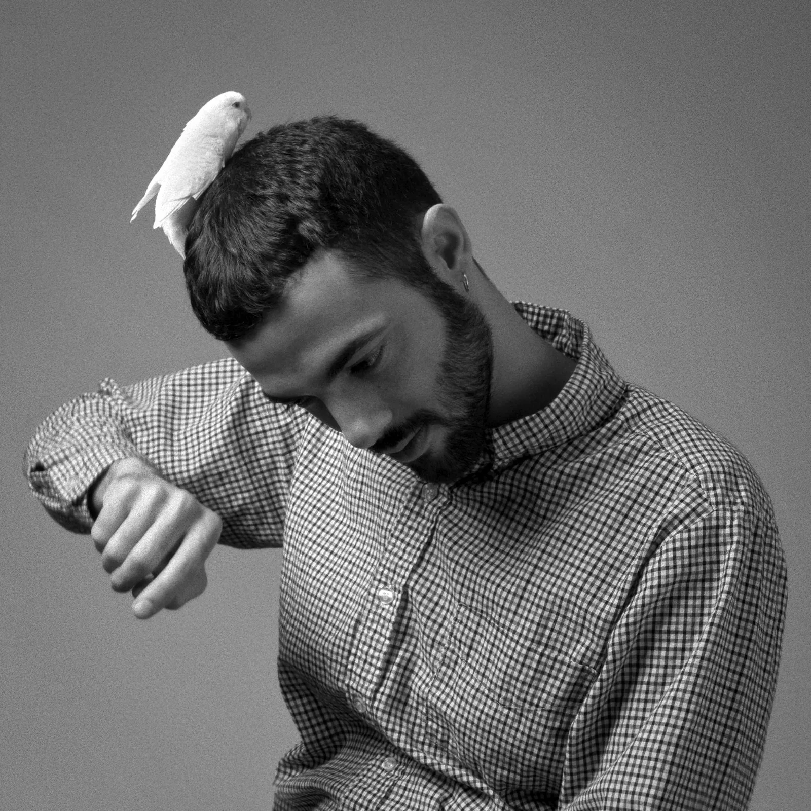 Roberto Greco