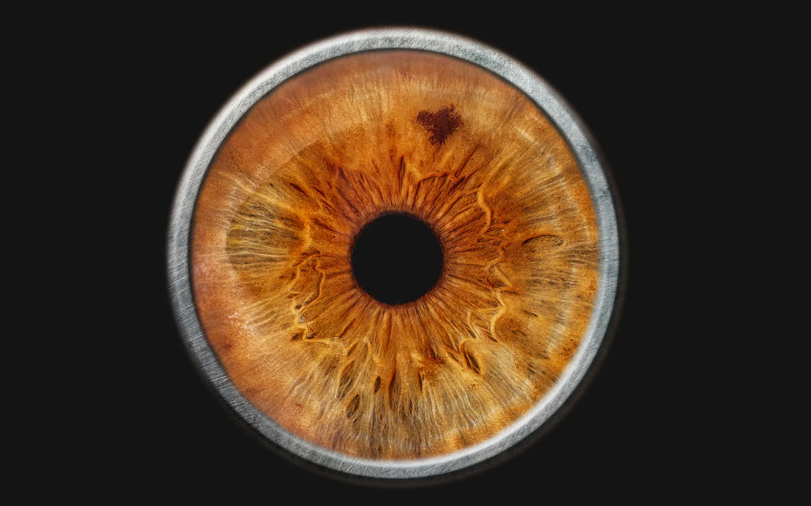 Iris im Ring