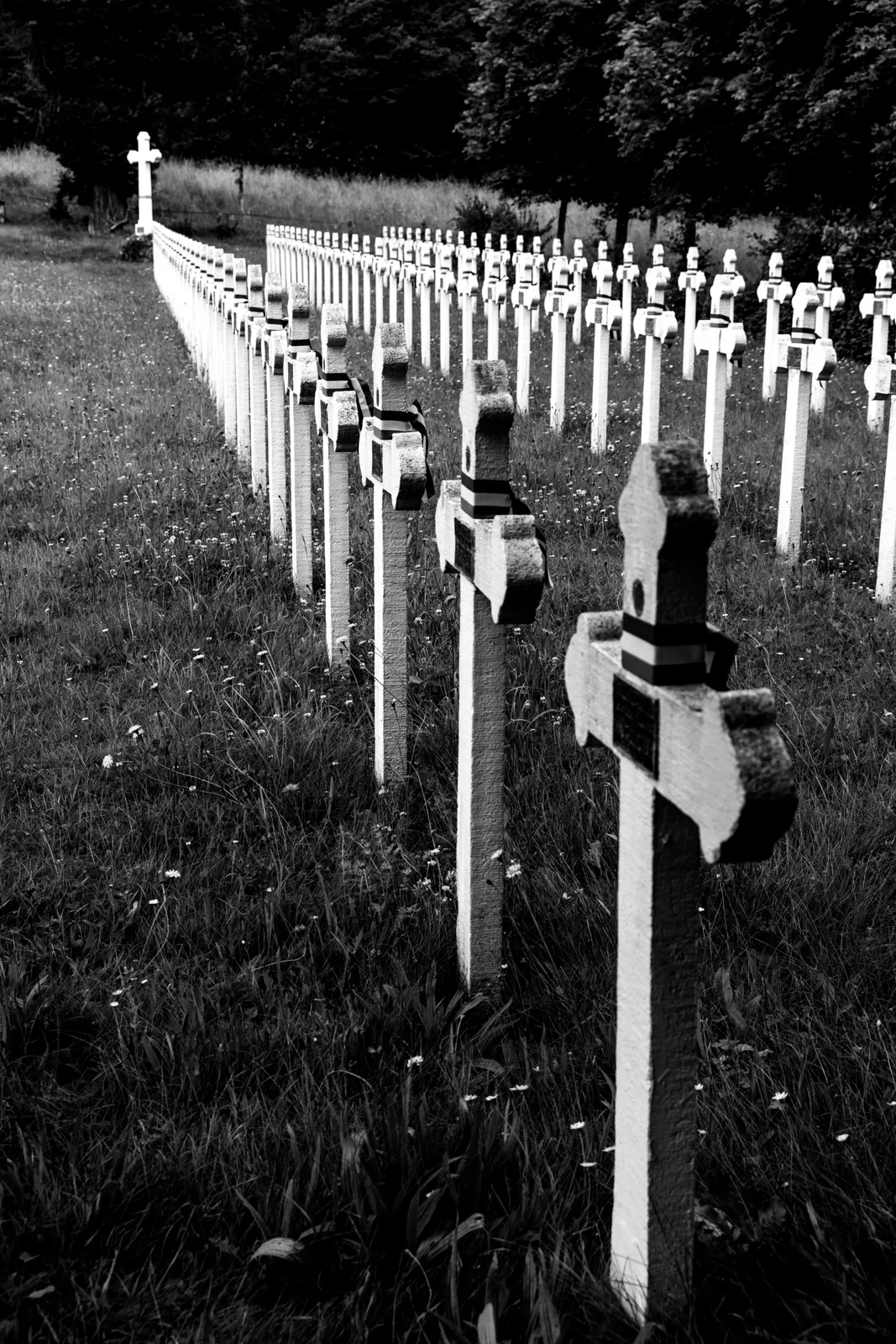 Nécropole Nationale Nr. 6