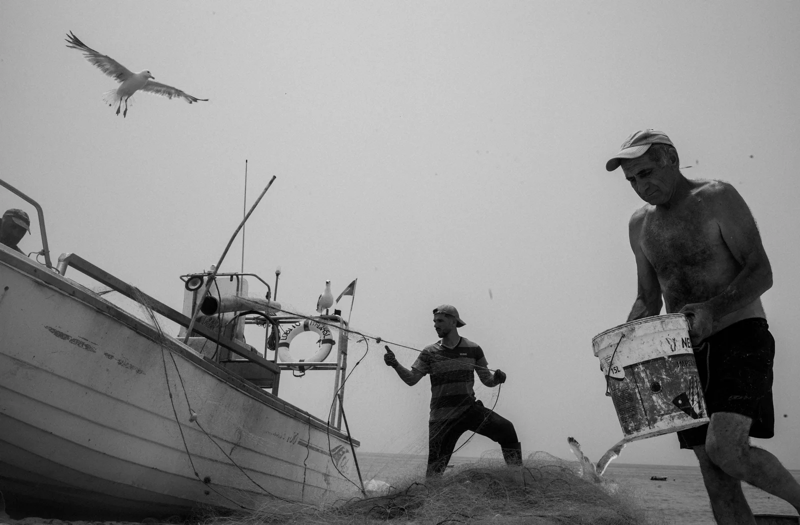 Pesca