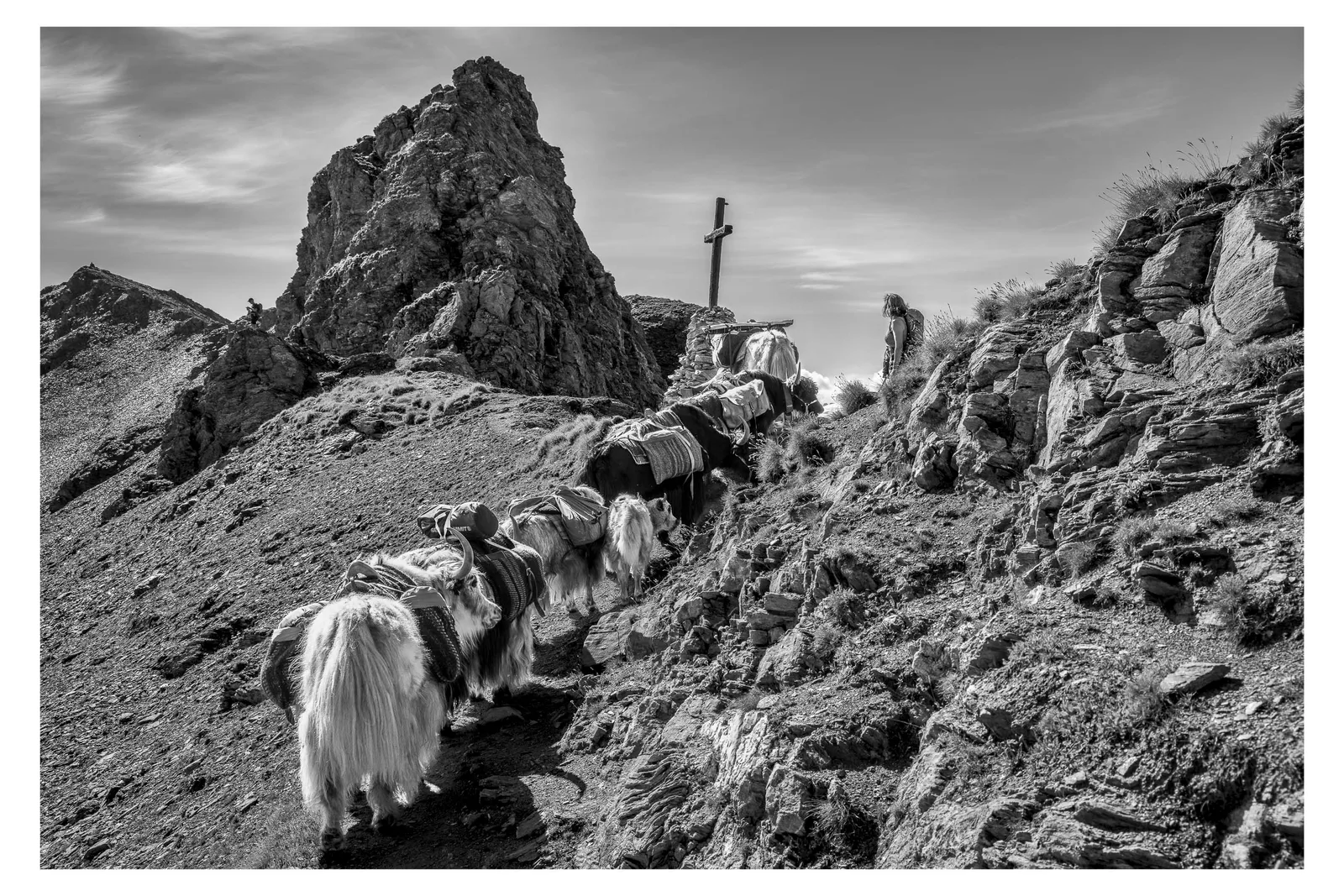 Yak-Trekking mit Rosula auf 2916 m. ü. M.