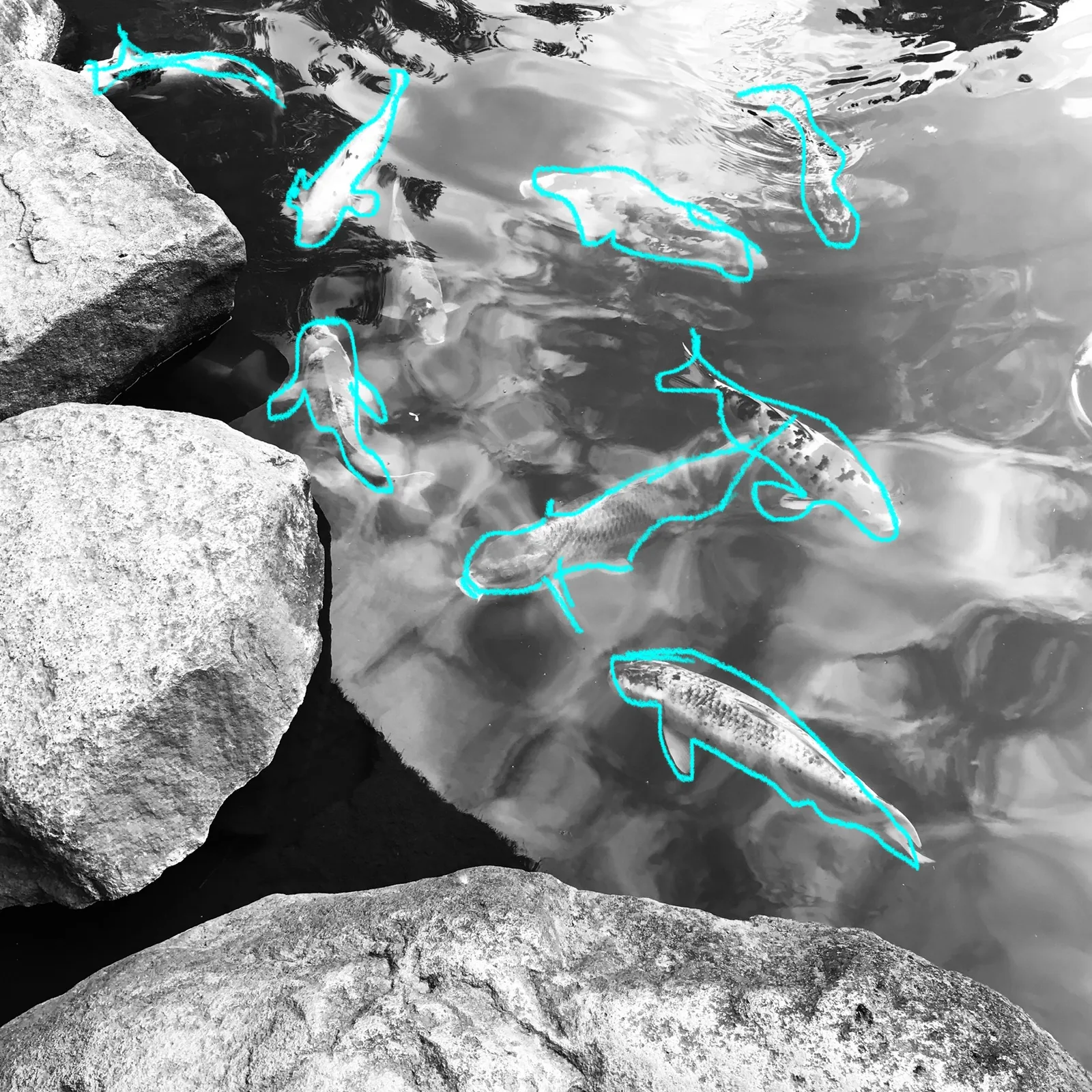 Traced lines in tokyo - #swimminglines